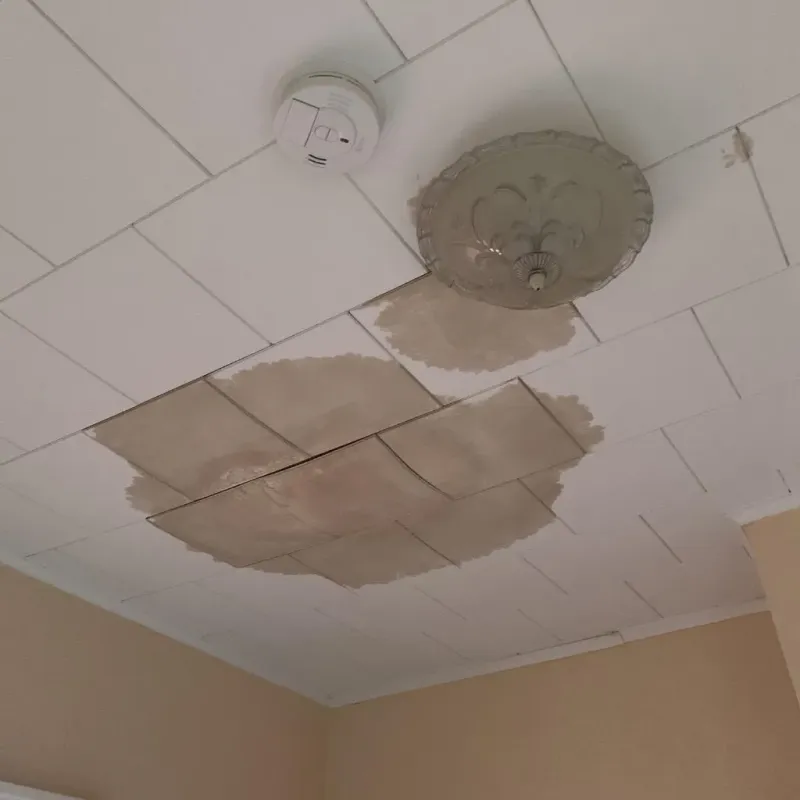 Ceiling Water Damage Repair in Caldwell County, TX