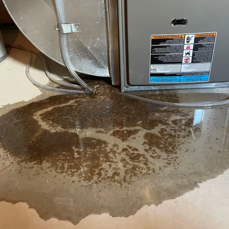 Pipe Burst and Leak Restoration in Caldwell County, TX